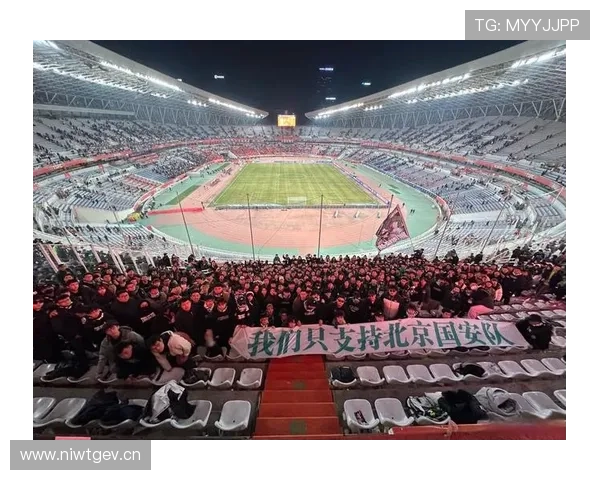 球迷组织介绍：主流足球球迷团体类型与支持文化解析