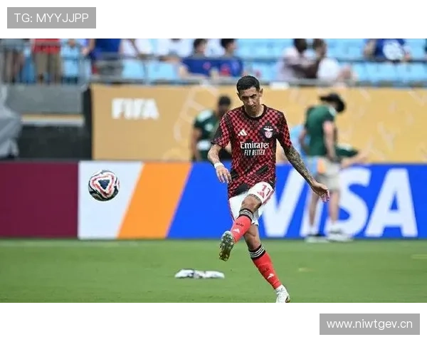 奥塔门迪本菲卡主力